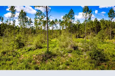 002 Buddy Lloyd Rd, Livingston, TX 77351 - Photo 10