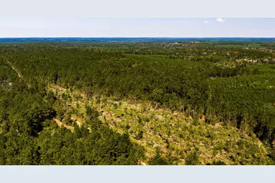002 Buddy Lloyd Rd, Livingston, TX 77351 - Photo 4