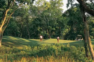 2010 Ironwood Pass Dr, Missouri City, TX 77459 - Photo 16