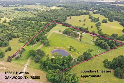 1666 US Highway 84, Oakwood, TX 75855 - Photo 2
