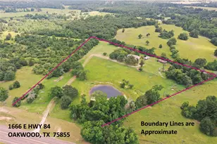 1666 US Hwy 84, Oakwood, TX 75855 - Photo 2