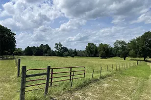 1666 US Hwy 84, Oakwood, TX 75855 - Photo 42