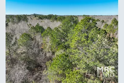 00 Recreational Road 255, Colmesneil, TX 75938 - Photo 10