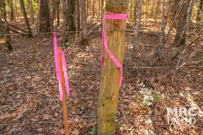 00 Recreational Road 255, Colmesneil, TX 75938 - Photo 34