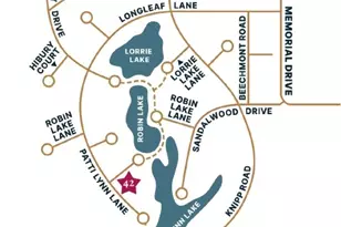 42 Patti Lynn Ln, Houston, TX 77024 - Photo 38