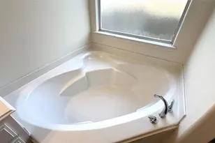 28831 Frio River Loop, Spring, TX 77386 - Photo 20