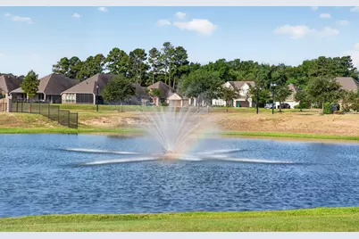 24638 Carleton Lake Lane, Tomball, TX 77375 - Photo 32