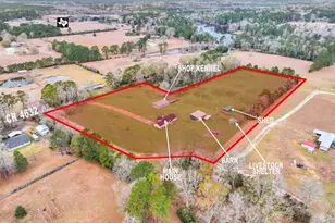 214 Co Rd 4632, Spurger, TX 77660 - Photo 2