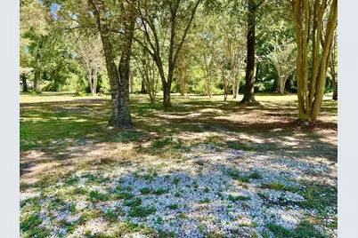 1265 County Road 6479, Dayton, TX 77535 - Photo 4