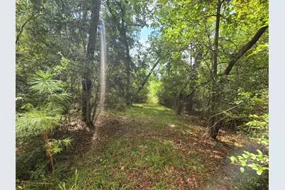 142 Idylwood Drive, Goodrich, TX 77335 - Photo 10