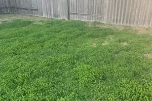 7515 Rainham Valley Ln, Richmond, TX 77407 - Photo 22