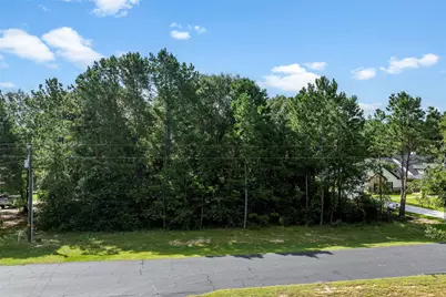 27140 Saddlehorn Drive, Waller, TX 77484 - Photo 4