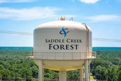 27140 Saddlehorn Drive, Waller, TX 77484 - Photo 20