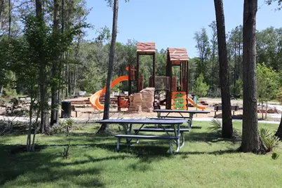 8811 Bird Branch Drive, Houston, TX 77078 - Photo 24
