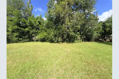 302 County Road 4473, Warren, TX 77664 - Photo 2