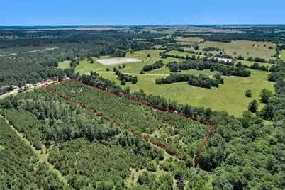 0 Williamson Way, Lovelady, TX 75851 - Photo 10