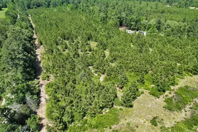 0 Williamson Way, Lovelady, TX 75851 - Photo 18