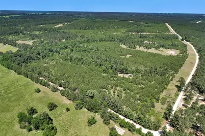 0 Williamson Way, Lovelady, TX 75851 - Photo 4