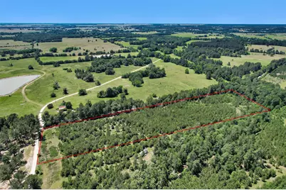 0 Williamson Way, Lovelady, TX 75851 - Photo 2