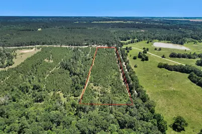 0 Williamson Way, Lovelady, TX 75851 - Photo 8