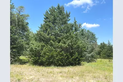 15136 County Road 424, Somerville, TX 77879 - Photo 4