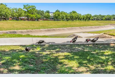 3601 Murworth Drive #1, Houston, TX 77025 - Photo 10