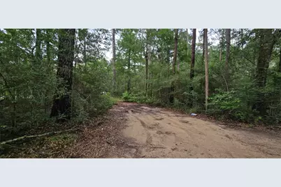 16511 Butera Road, Magnolia, TX 77355 - Photo 8