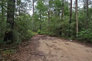 16511 Butera Rd, Magnolia, TX 77355 - Photo 8
