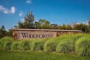 325 Sky Top Dr, Montgomery, TX 77316 - Photo 26