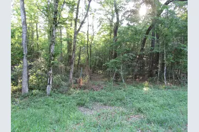 Tbd Holly Lane, New Caney, TX 77357 - Photo 2