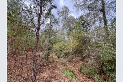 1 Fm 252, Kirbyville, TX 75956 - Photo 10