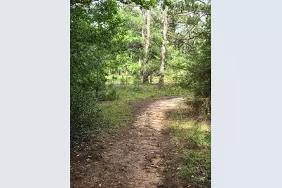 10802 Jolin Lane, Conroe, TX 77306 - Photo 30