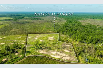117 County Road 33, Jasper, TX 75938 - Photo 2
