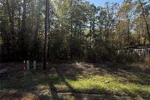 0 Brackenridge Livingston Tx 77351, Livingston, TX 77351 - Photo 1