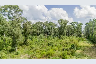 17171 E Fm 1097 Road, Willis, TX 77378 - Photo 14