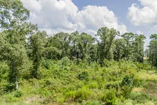 17171 E Fm 1097 Rd, Willis, TX 77378 - Photo 14