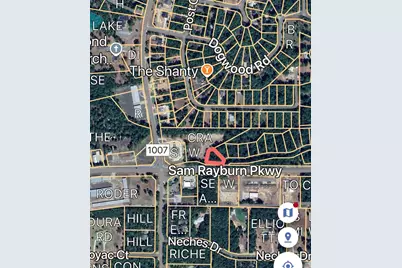 3290 Sam Rayburn Parkway, Brookeland, TX 75931 - Photo 4