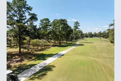 43 N Longspur Drive, The Woodlands, TX 77380 - Photo 6