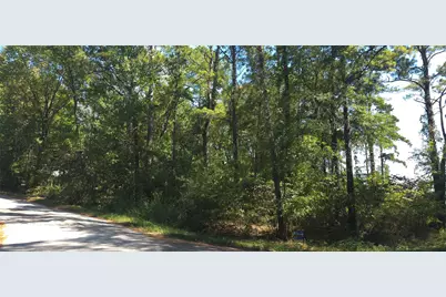 Tbd Cove Dr, Point Blank, TX 77364 - Photo 4