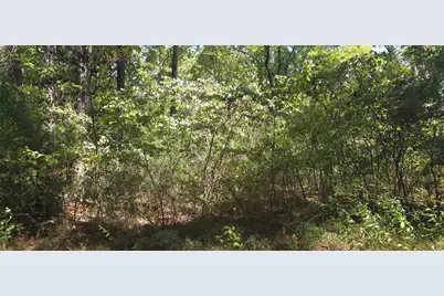Tbd Cove Dr, Point Blank, TX 77364 - Photo 2