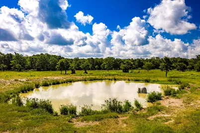 6559 Highway 21 W, Madisonville, TX 77864 - Photo 48