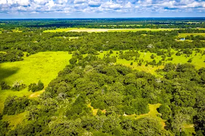 6559 Highway 21 W, Madisonville, TX 77864 - Photo 50