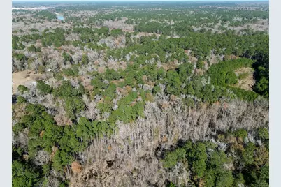 0 Tr 9 Dunnam Road, Kingwood, TX 77345 - Photo 38