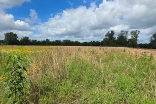 Tbd Lot 1 County Road 201, Plantersville, TX 77363 - Photo 1