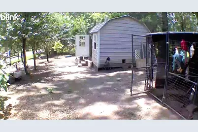 318 Ridgewood Road, Goodrich, TX 77335 - Photo 40