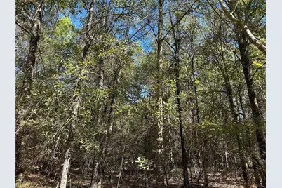 Tbd Somerset Trail Road, Point Blank, TX 77364 - Photo 18