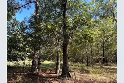 Tbd Somerset Trail Road, Point Blank, TX 77364 - Photo 16