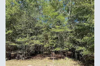 Tbd Somerset Trail Road, Point Blank, TX 77364 - Photo 20