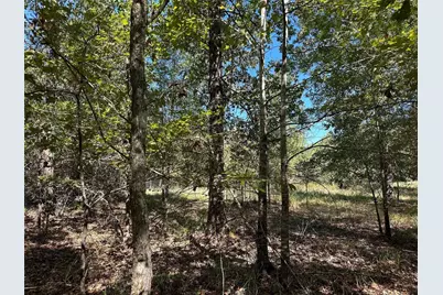 Tbd Somerset Trail Road, Point Blank, TX 77364 - Photo 14