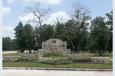 9951 Chimney Swift Lane, Conroe, TX 77385 - Photo 4